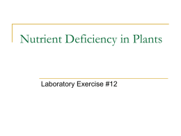 NUTRIENT DEFICIENCY IN PLANTS (ppt download)