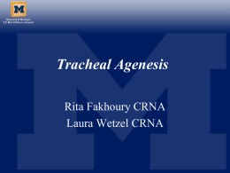 Tracheal Agenesis - umichanesthesiaconference.com