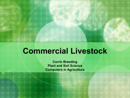 Commercial Livestock