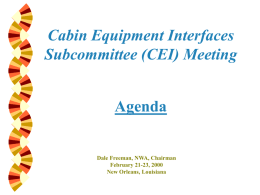 Cabin Equipment Interfaces Subcommittee Summary Report