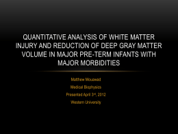 Quantitative Analysis of White Matter Injury and Reduction