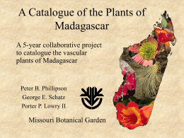 Catalogue of Plants of Magdagascar