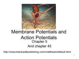 Membrane Potentials and Action Potentials