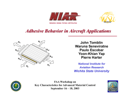 Adhesive Behavior in Aircraft Applications