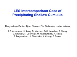 LES Intercomparison Case of Precipitating Shallow Cumulus