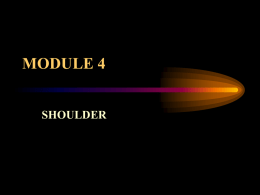 MODULE 4 - RollaNet