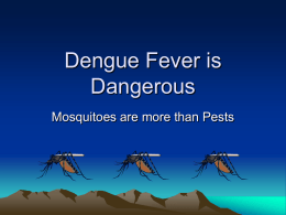 Dengue Fever is Dangerous - Woodshed Environment Coalition