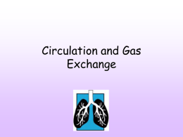 Circulation and Gas Exchange