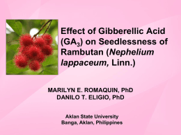 Effect of Gibberellic Acid (GA3) on Seedlessness of