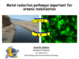 Molecular biology of respiratory arsenate reduction