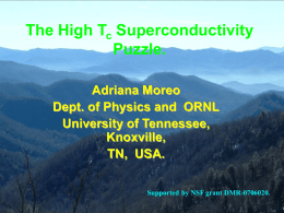 A. Moreo:The High T c Superconductivity Puzzle
