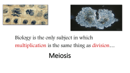Meiosis - Weebly