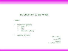 The CMBI: Bioinformatics