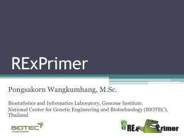 RExPrimer: an integrated primer designing tool increases