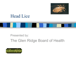 Head Lice - Glen Ridge Borough