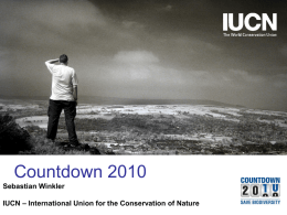 Post 2010 strategy? - Institute for European Studies, VUB