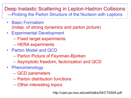 Deep Inelastic Scattering in Lepton