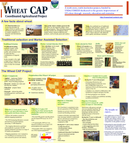 WheatCAP poster - Wheat Applied Genomics