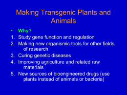 Genetic Engineering of Plants - University of Texas at Austin