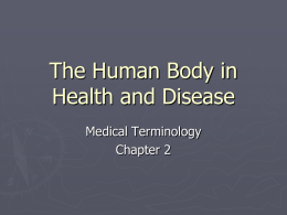 The Human Body in Health and Design