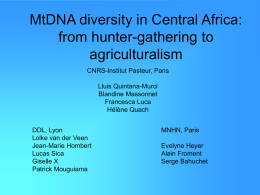 MtDNA divesity in Central Africa: from hunter