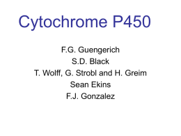 Cytochrome P450 - BioInfo3D Group