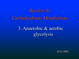 Anaerobic & aerobic glycolysis