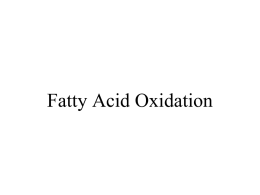 Fatty Acid Oxid - Univerzita Karlova v Praze