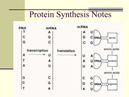 Protein Synthesis - Katy Independent School District