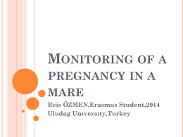 Monitoring of a pregnancy in a mare