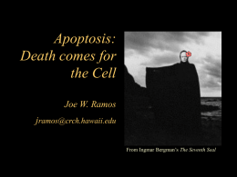 Cell Signaling III: Death comes for the Cell Joe W. Ramos