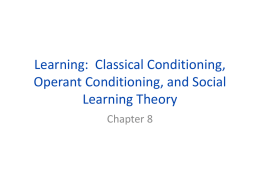 Learning AND Memory Notes