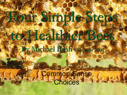 Four Simple Steps to Healthier Bees By Michael Bush