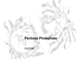 Pentose Phosphate - Michael P. Ready