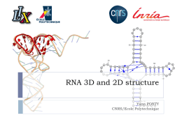 RNA 2D and 3D structure