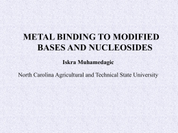 METAL BINDING TO MODIFIED BASES AND NUCLEOSIDES …