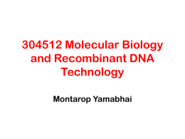 Molecular Cloning I: Restriction Enzymes, PCR, Plasmids