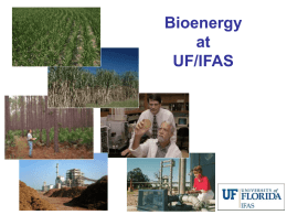 Biomass Energy Research and Extension at UF/IFAS