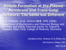 Vesicle Formation at the Plasma Membrane and Trans
