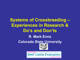Systems of Crossbreeding – Experiences in Research & Do’s
