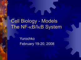 Cell Biology - Models NF
