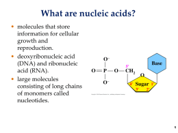 Nucleic Acids - Cochise College