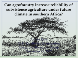 Can agroforestry reduce risk in subsistence agriculture