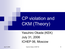 CP violation and CKM (Theory)-Plan