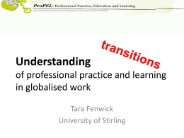 Theorising in professional learning and practice