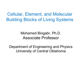 Cellular, Element, and Molecular Building Blocks of Living