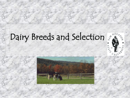 Dairy Breeds and Selection Agriscience I