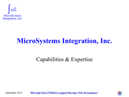 MSMP - Organization - MicroSystems Integration