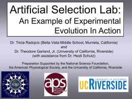 Artificial Selection Lab