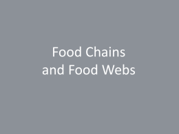 Food Chains and Food Webs - Saint Mary Catholic School